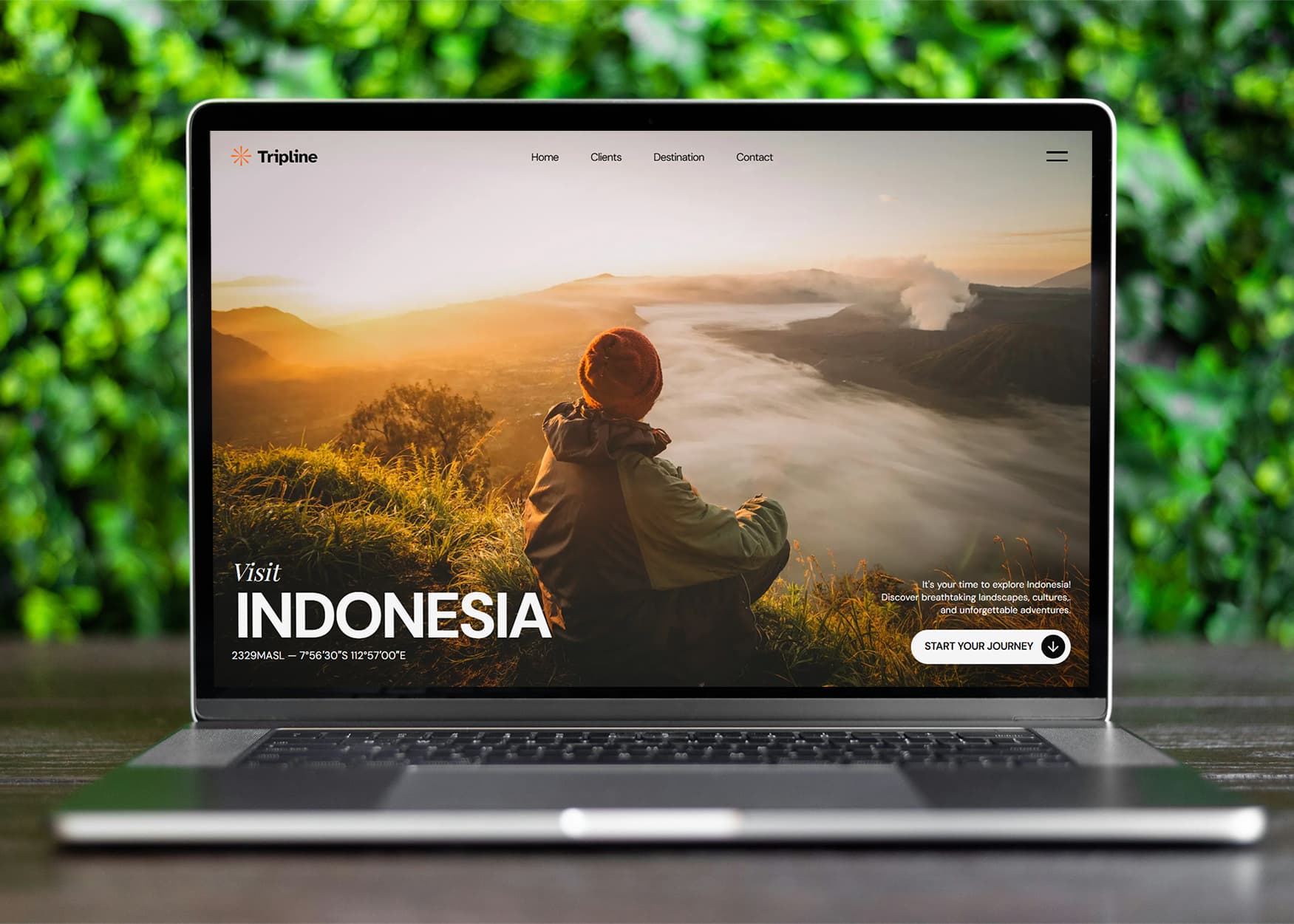 Preview 5 for Web Design